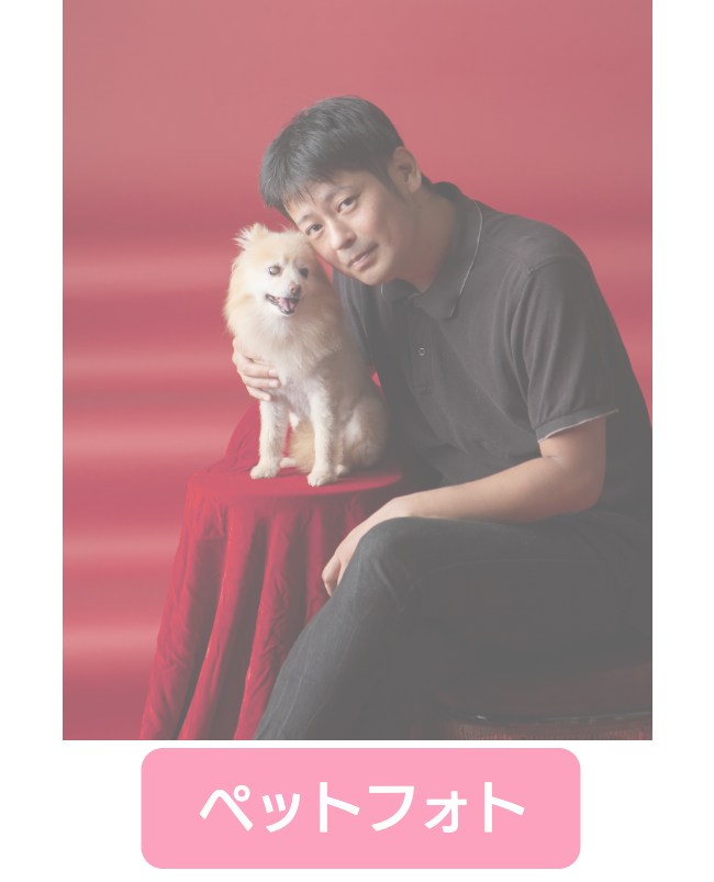 ペットフォト
