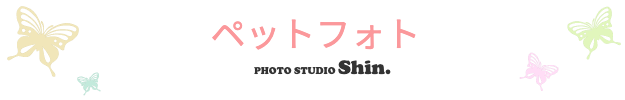 ペットフォト